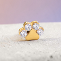 Instinct gold and silver titanium paw print labret with clear cubic zirconia stones.